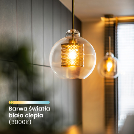 6x Żarówka LED E27 A60 4W = 60W 840lm 3000K Ciepła 360° FILAMENT LUMILED