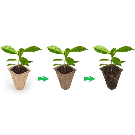 Zestaw 10x Paletka Torfowa 3x4 15,5 x 11,5 cm do Rozsady Wysiewu Pikowania Na Sadzonki Biodegradowalne Kwadrat