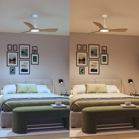 Wentylator Sufitowy 28W Lampa Sufitowa LED 24W 2650lm 3000/4300/6500K CCT Biała Brązowa + Pilot Olas Philips