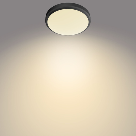 Lampa Sufitowa Plafon Łazienkowy LED 6W 600lm 2700K IP44 Czarna Doris bathroom Philips