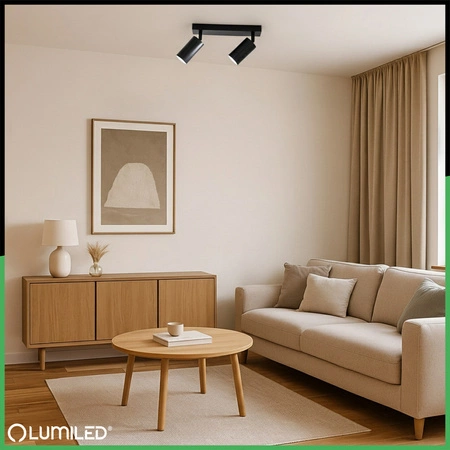 Lampa Sufitowa Plafon SPOT TUBA Reflektor Oprawa Halogenowa Skośna 2x GU10 TABULA LUMILED