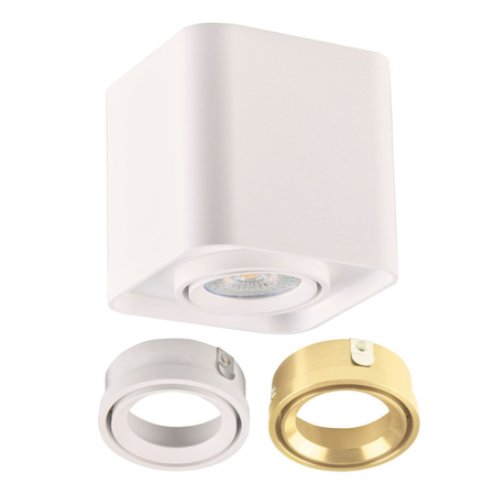 Oprawa Natynkowa Punktowa Spot GU10 Biała XENO Sanico Goldlux