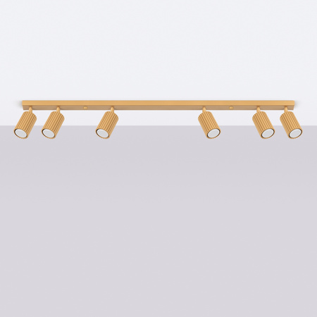 Lampa Sufitowa Reflektor Tuba Spot 6x GU10 Złota Karbon Deep Space SL.1566 Sollux