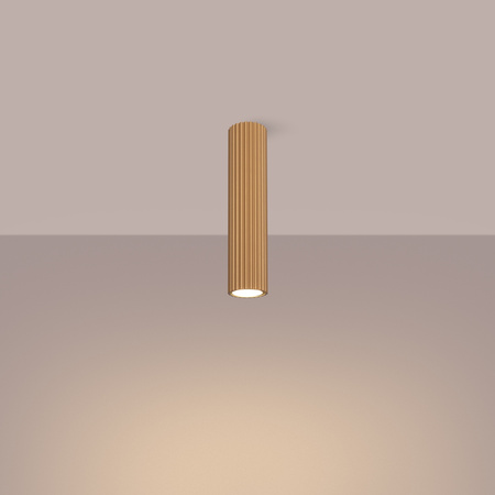 Lampa Sufitowa Reflektor Tuba Spot 1x GU10 Złota Karbon Deep Space SL.1551 Sollux