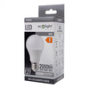 Żarówka LED A60 E27 20W 1800lm 4000K Neutralna Ecolight