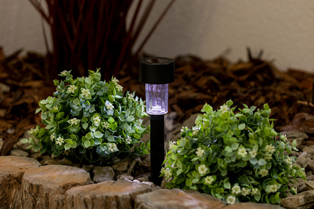 Lampa Ogrodowa LED Solarna Wbijana Czarna 6500K Zimna Biała