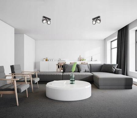 Lampa sufitowa Kinkiet LEON 2x ES111 Ruchomy czarny