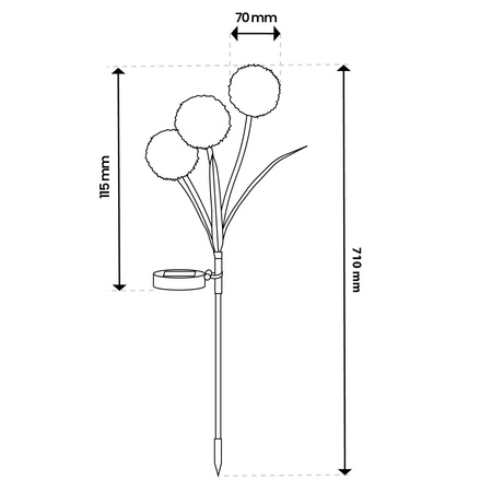 Lampa Solarna LED Dekoracyjna Wbijana Czosnek Kwiat Ogrodowy