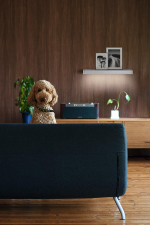 Lampa Ścienna LED Oprawa Oświetleniowa Podświetlana Półka 6.5W 550lm IP44 3000K Ciepła Linear Ledvance