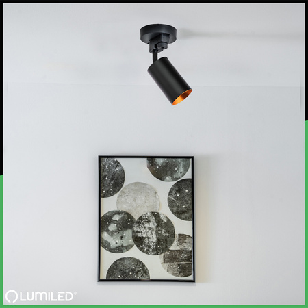 ZESTAW LUMILED SZYNA HUMA CZARNY + REFLEKTOR SZYNOWY SAGI CZARNO-ZŁOTY