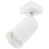 Kinkiet sufitowy - GU10 SPOT Lampa LED QUALIS I Biały