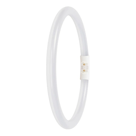 Świetlówka LED Kołowa 2GX13 T5 11.6W 1550lm 3000K Ciepła 120° Ledvance