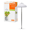 Lampa PARASOL oświetlenie wewnętrzne LED USB 5W 3400K wspomagające wzrost roślin LEDVANCE
