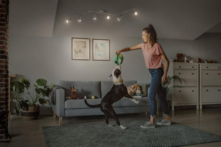 Lampa Sufitowa Oprawa Punktowa Reflektor GU10 20.4W 1380lm 2700K Ciepła 36° Biała Ściemnialna Spot Osram