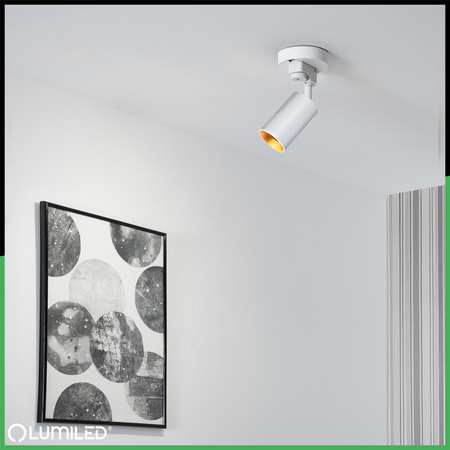 ZESTAW LUMILED SZYNA HUMA BIAŁY + REFLEKTOR SZYNOWY SAGI BIAŁO-ZŁOTY