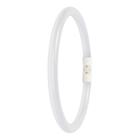 Świetlówka LED Kołowa 2GX13 T5 11.6W 1700lm 6500K Zimna 120° Ledvance