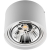 Oprawa Natynkowa HALOGENOWA SPOT TUBA Ruchoma GU10 AR111 Okrągła Biała 100mm TELES LUMILED