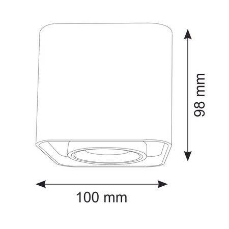 Oprawa Natynkowa Punktowa Spot GU10 Biała XENO Sanico Goldlux