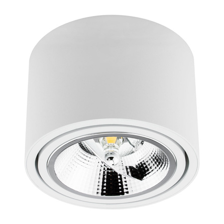 Oprawa Natynkowa HALOGENOWA SPOT TUBA Ruchoma GU10 AR111 Okrągła Biała 100mm TELES LUMILED