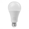 Żarówka LED A60 E27 20W 1800lm 4000K Neutralna Ecolight