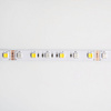 Taśma LED Pasek SMD 5050 14.4W/m 60LED/m 12V 2700-6500K Wielokolorowa RGB + zmienna CCT IP63 Rolka 5m Ecolight