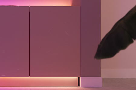 Taśma LED Pasek 3m 12W 1200lm IP20 White and Color Ambiance RGB + TW Biała Inteligentna SMART Zigbee Bluetooth Flux Strip Philips HUE