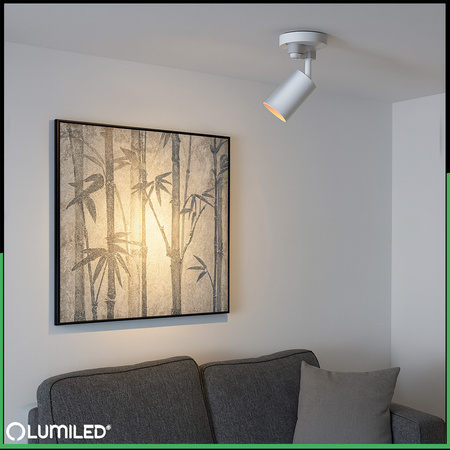 ZESTAW LUMILED SZYNA HUMA BIAŁY + REFLEKTOR SZYNOWY SAGI BIAŁO-ZŁOTY