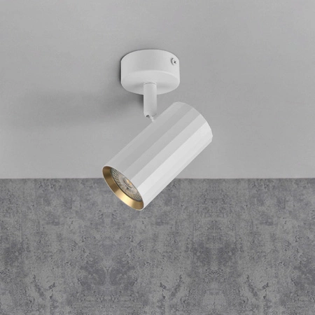 Oprawa Ścienno-Sufitowa Reflektor Punktowy GU10 Biała Złota NICEA Sanico Goldlux