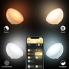 Philips HUE White and Color Ambiance Lampka Biurkowa GO Bluetooth Zigbee 8718696173992