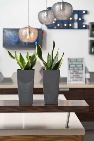 Donica Trapez Ogrodowa z Wkładem Doniczka Dekoracyjna 14x14cm Domowa Kwadratowa do Kwiatów Biała POŁYSK