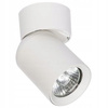 Lampa Sufitowa Ścienna TIMO Reflektor Oprawa Halogenowa Ruchoma 1xGU10 Biały LVT