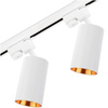 Zestaw Szyna Oświetleniowa Szynoprzewód 1m + 2x Reflektor Szynowy SAGI GU10 Biało Złoty LUMILED