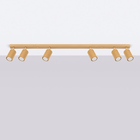 Lampa Sufitowa Reflektor Tuba Spot 6x GU10 Złota Karbon Deep Space SL.1566 Sollux