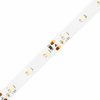 Taśma LED Pasek 12V 24W 300LED 2835 Zimna 8mm 5m