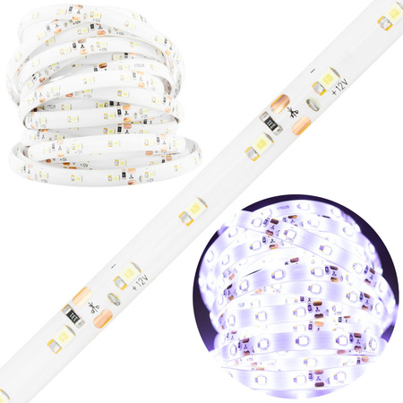 Taśma LED Pasek 12V 24W 300LED 2835 Zimna IP65 8mm 5m