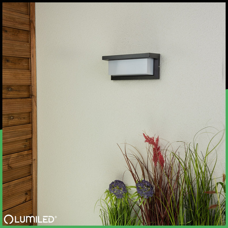 Lampa Ogrodowa Kinkiet Elewacyjny E27 Prostokątny LEVIS LUMILED