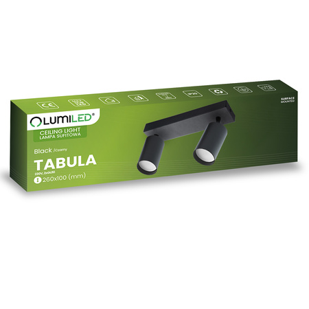Lampa Sufitowa Plafon SPOT TUBA Reflektor Oprawa Halogenowa Skośna 2x GU10 TABULA LUMILED
