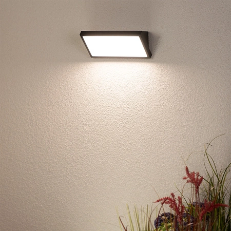 Lampa Ogrodowa Zewnętrzna Kinkiet Elewacyjny 12W LED IP44 CALIA LUMILED