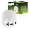 Oprawa Natynkowa HALOGENOWA SPOT TUBA Ruchoma GU10 AR111 Okrągła Biała 100mm TELES LUMILED