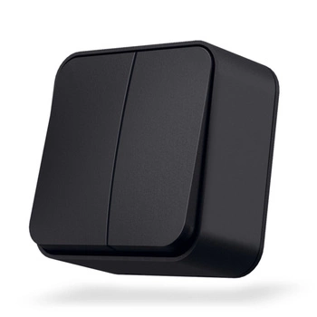 Przełącznik Światła 2-Klawiszowy 10A Natynkowy Czarny BINERA VIDEX