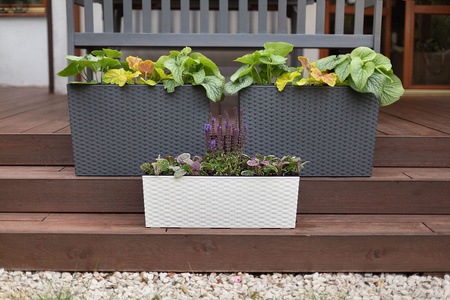 Kwietnik Donica Skrzynka z Wkładem 56 x 19cm Balkonowa Ogrodowa Domowa Rattan Biała