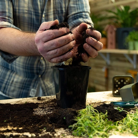 Zestaw 3x Tacka Uprawowa 22x36x4,5 cm 24 Komórki Wielodoniczka do Wysiewu Rozsady Pikowania 