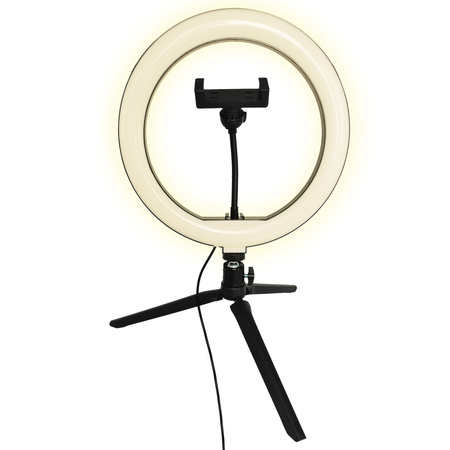 Lampa Stołowa LED 10W 240lm 2700-4000-6500K Ciepła 360° Czarna Ściemnialna SELFIE Sanico Goldlux
