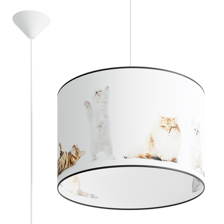 Lampa Sufitowa Wisząca Zwis E27 Żyrandol Owalna Wielokolorowa Nowoczesna Koty Sollux