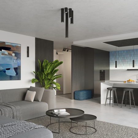 Lampa Sufitowa Reflektor Tuba Spot 1x GU10 Czarna Karbon Deep Space SL.1569 Sollux