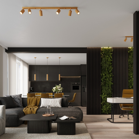 Lampa Sufitowa Reflektor Tuba Spot 4x GU10 Złota Karbon Deep Space SL.1565 Sollux