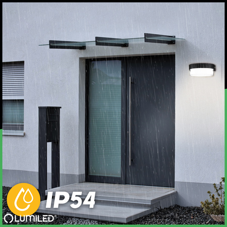 Lampa Elewacyjna LED Zewnętrzna Ścienna Kinkiet Ogrodowy Ciepła 4000K 5W IP54 SEVIA Czarna LUMILED