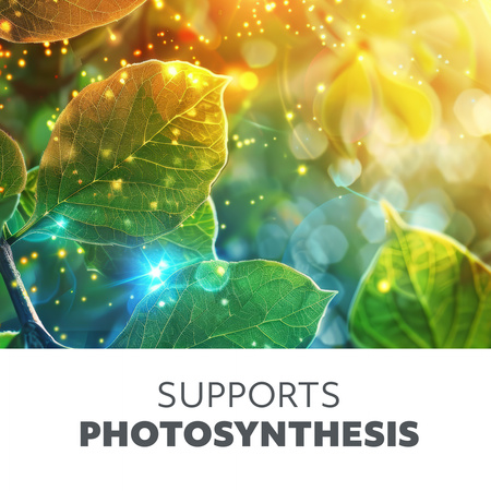 Lampka do Roślin LED Wspomagająca Wzrost 10W Klips Czarny Vitaro Kobi