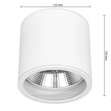 Oprawa Natynkowa Halogenowa Tuba Reflektor Spot GU10 Okrągła Biała Masterled