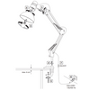 Lampka Biurkowa E27 Czarna Worker Sanico Goldlux